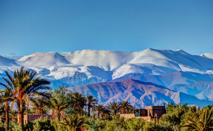 High Atlas Mountains & Imlil Day Trip