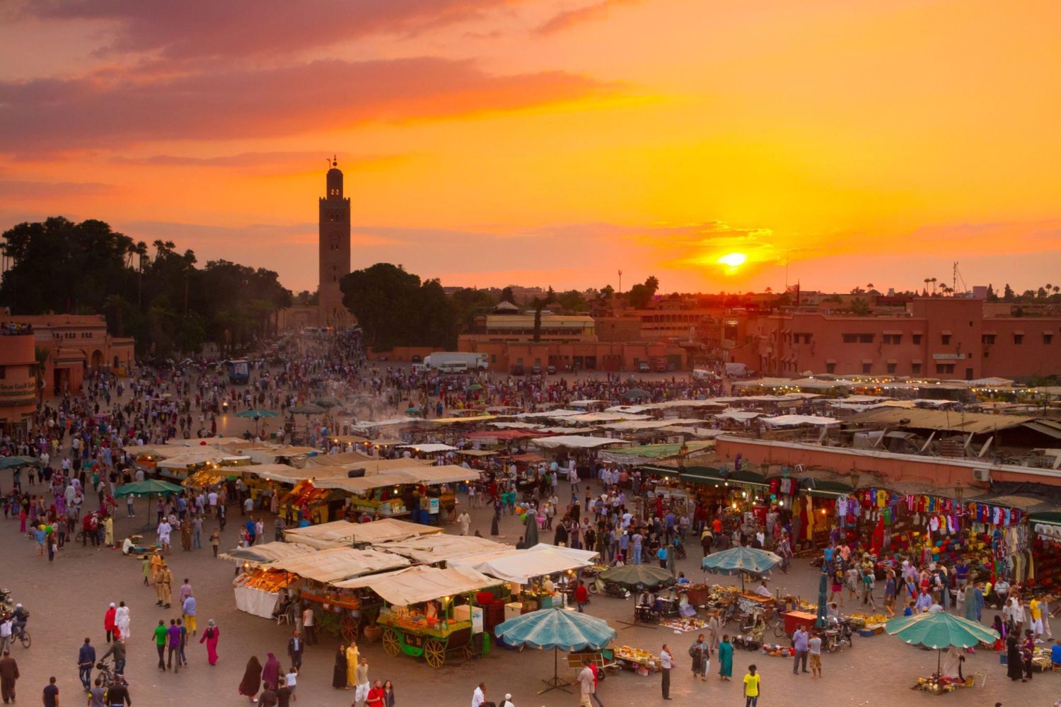 Marrakech Guided City Tour