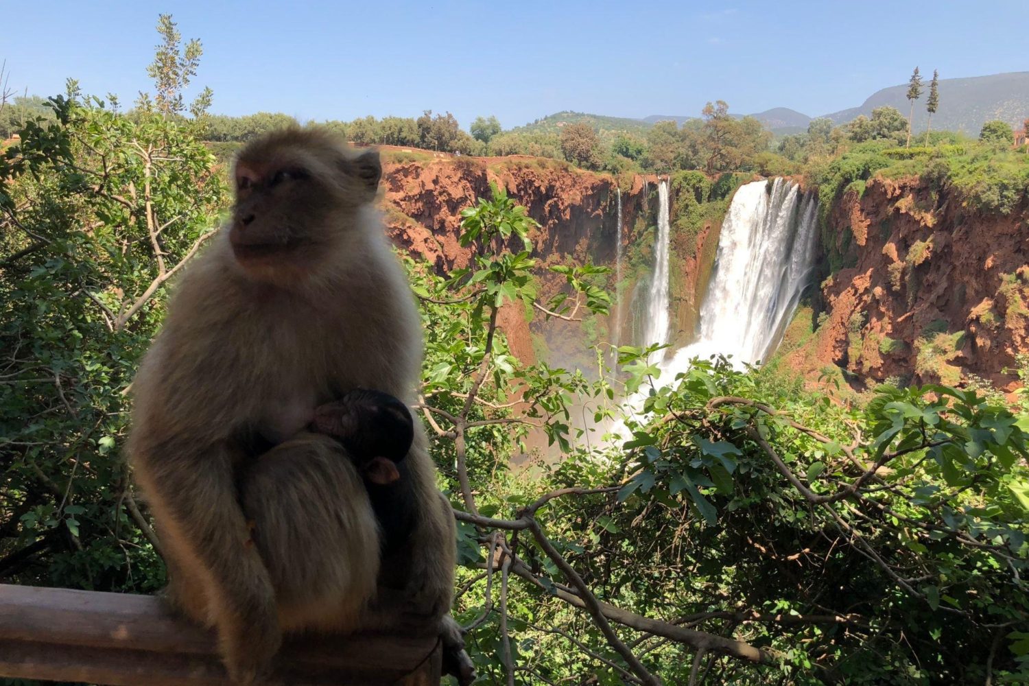 Marrakech to Ouzoud Waterfalls Day Trip