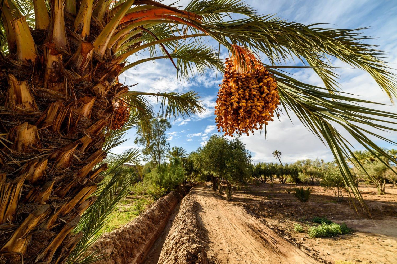 Marrakech to Zagora 2 Days